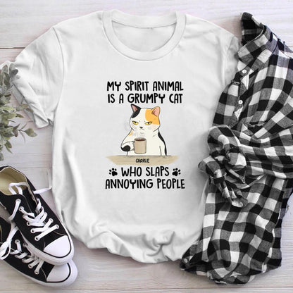 Personalized My Spirit Animal Is A Grumpy Cat T-Shirt