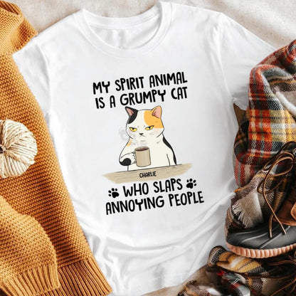 Personalized My Spirit Animal Is A Grumpy Cat T-Shirt