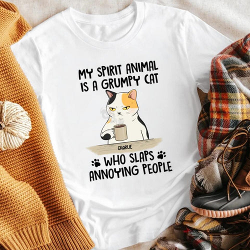 Personalized My Spirit Animal Is A Grumpy Cat T-Shirt