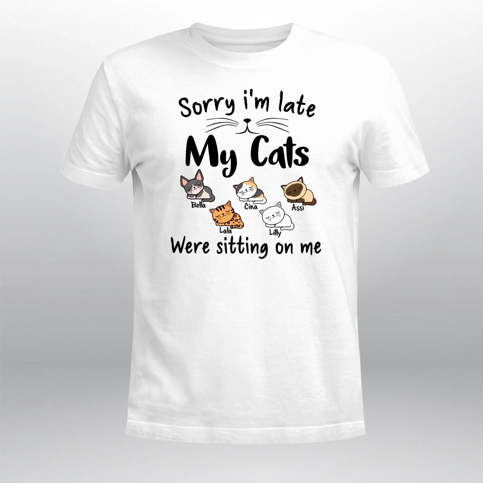 Personalized My Cat Was Sitting On Me YR1403002XC T-Shirt