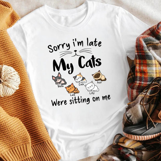 Personalized My Cat Was Sitting On Me YR1403002XC T-Shirt