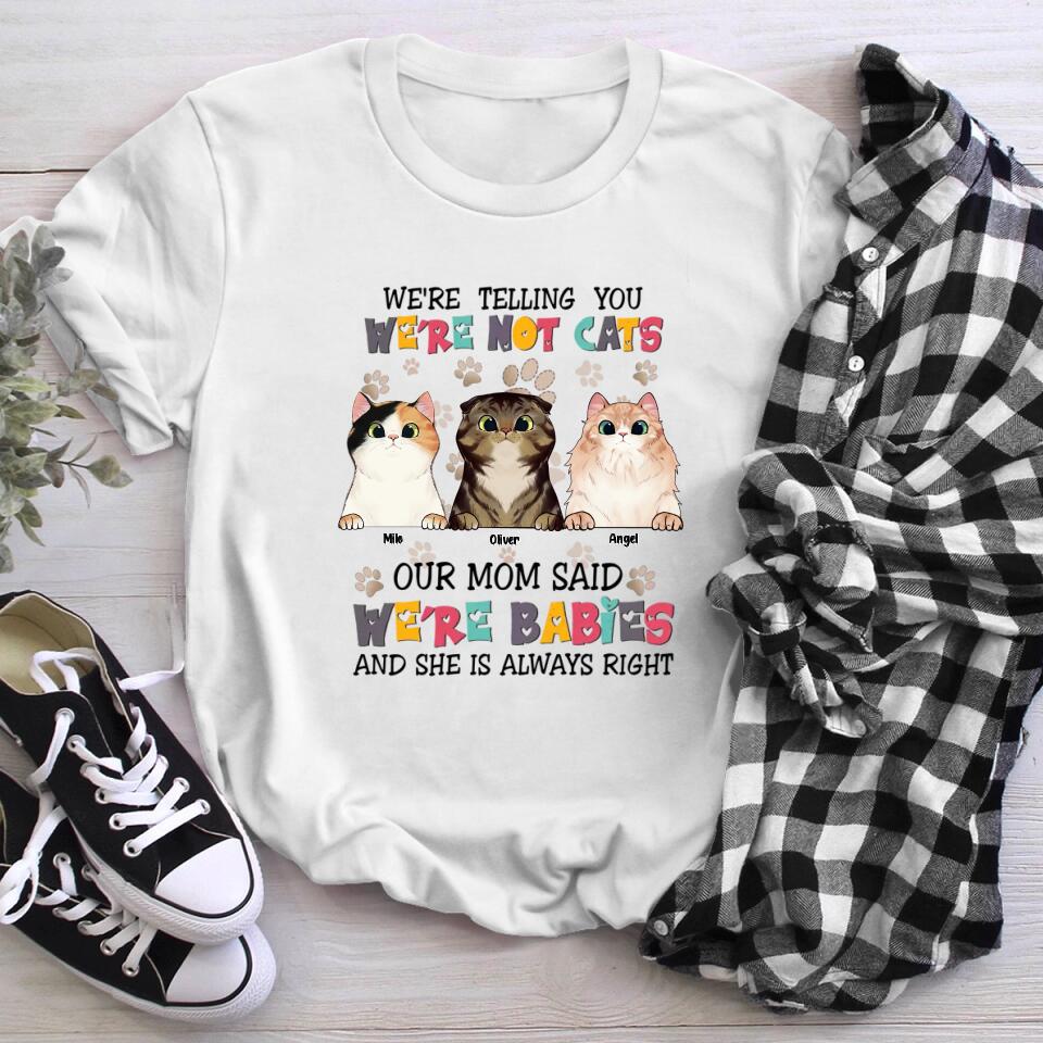 Personalized Cats Are Furry Babies NI2303001XR T-Shirt