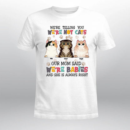 Personalized Cats Are Furry Babies NI2303001XR T-Shirt