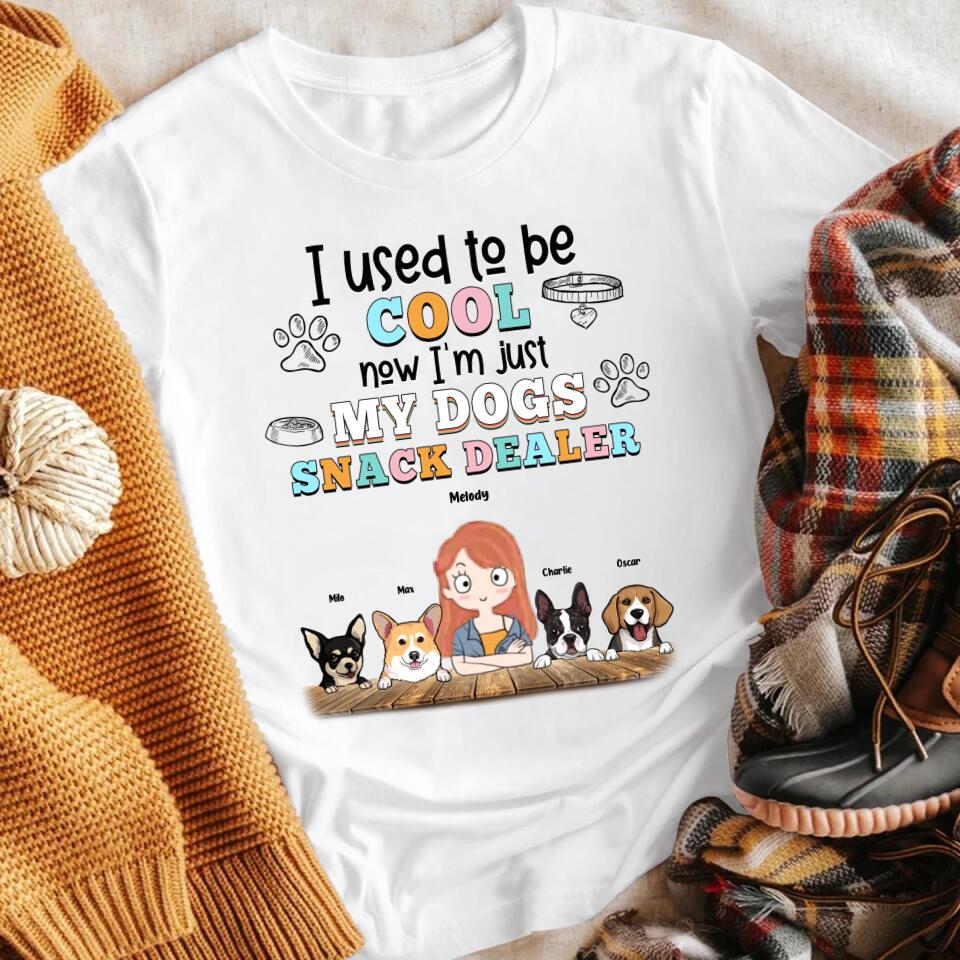 Personalized I Used To Be Cool Now I'm Just My Dogs Snack Dealer NI2303002XR T-Shirt