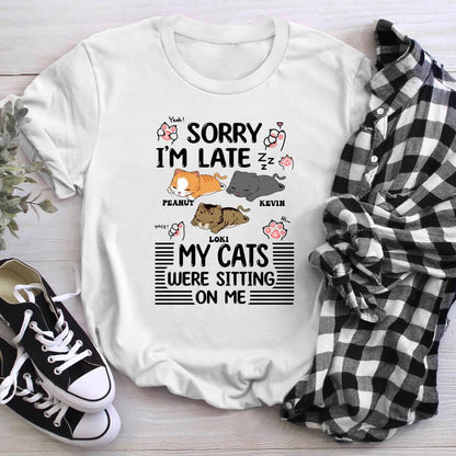 Personalized My Cat Was Sitting On Me YR2403004YF T-Shirt