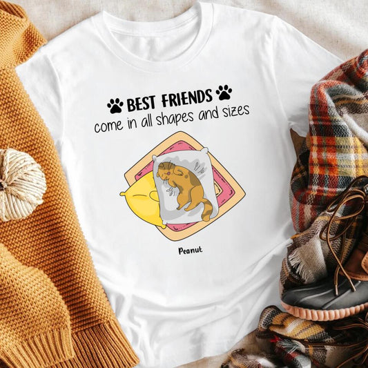 Personalized Best Friends Come In All Shapes And Sizes YR3003004XC T-Shirt