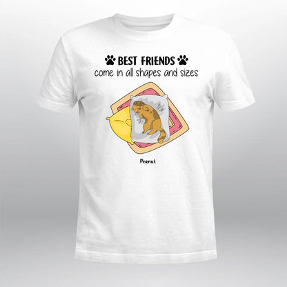 Personalized Best Friends Come In All Shapes And Sizes YR3003004XC T-Shirt