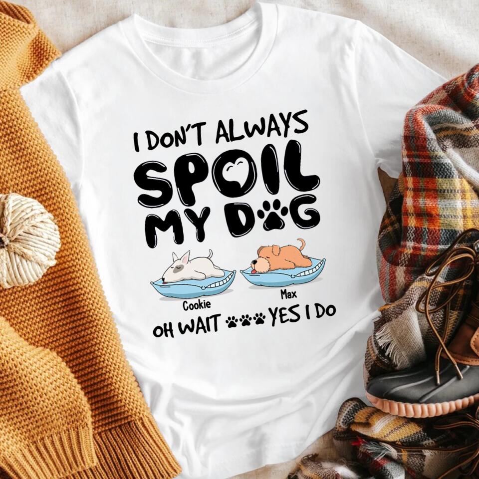 Personalized I Don't Always Spoil My Dogs XR3003004YS T-Shirt