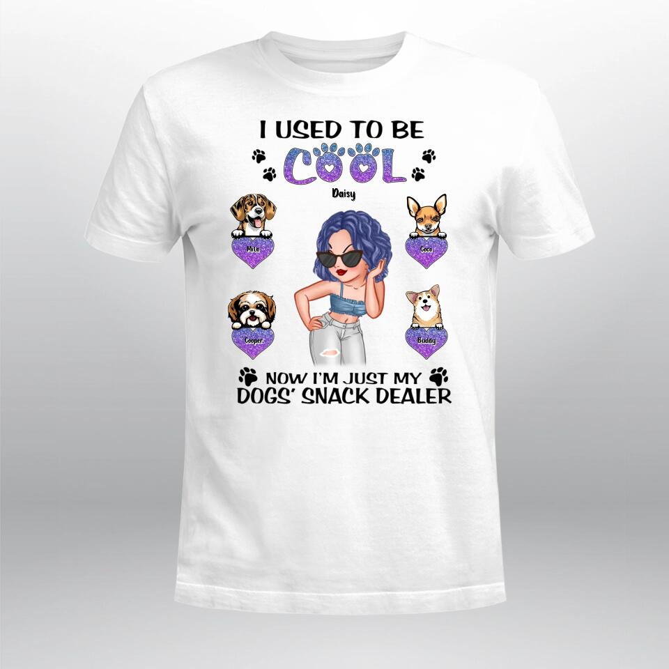 Personalized I Used To Be Cool Now I'm Just My Dogs' Snack Dealer XR3003006XY T-Shirt