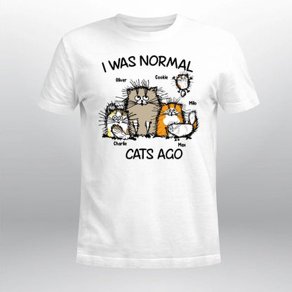 Personalized I Was Normal Cat XR0504004YS T-Shirt