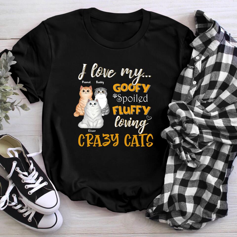 Personalized I Love My Goofy Spoiled Fluffy Loving Crazy Cat NI1004001XR T-Shirt