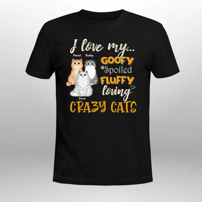 Personalized I Love My Goofy Spoiled Fluffy Loving Crazy Cat NI1004001XR T-Shirt