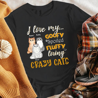 Personalized I Love My Goofy Spoiled Fluffy Loving Crazy Cat NI1004001XR T-Shirt