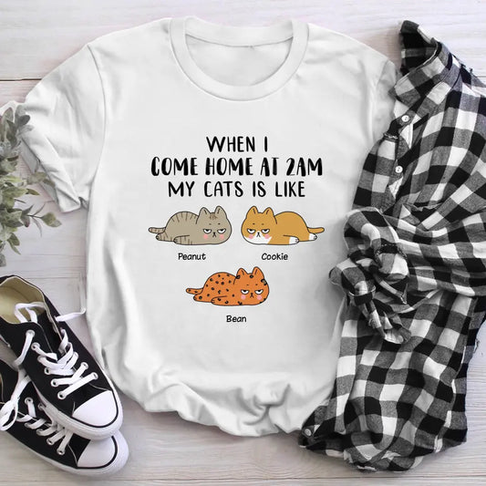 Personalized When I Come Home At 2AM XR1704002XY T-Shirt