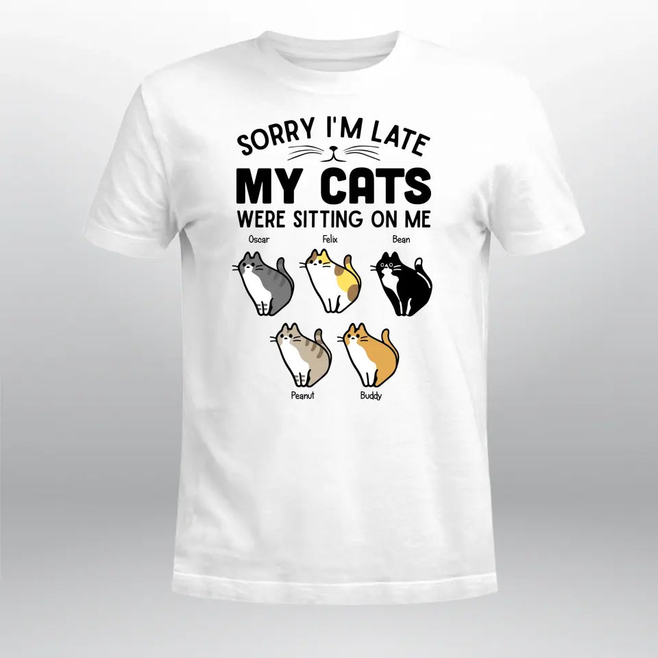 Personalized Sorry My Cat Was Sitting On Me XR1404009YS T-Shirt