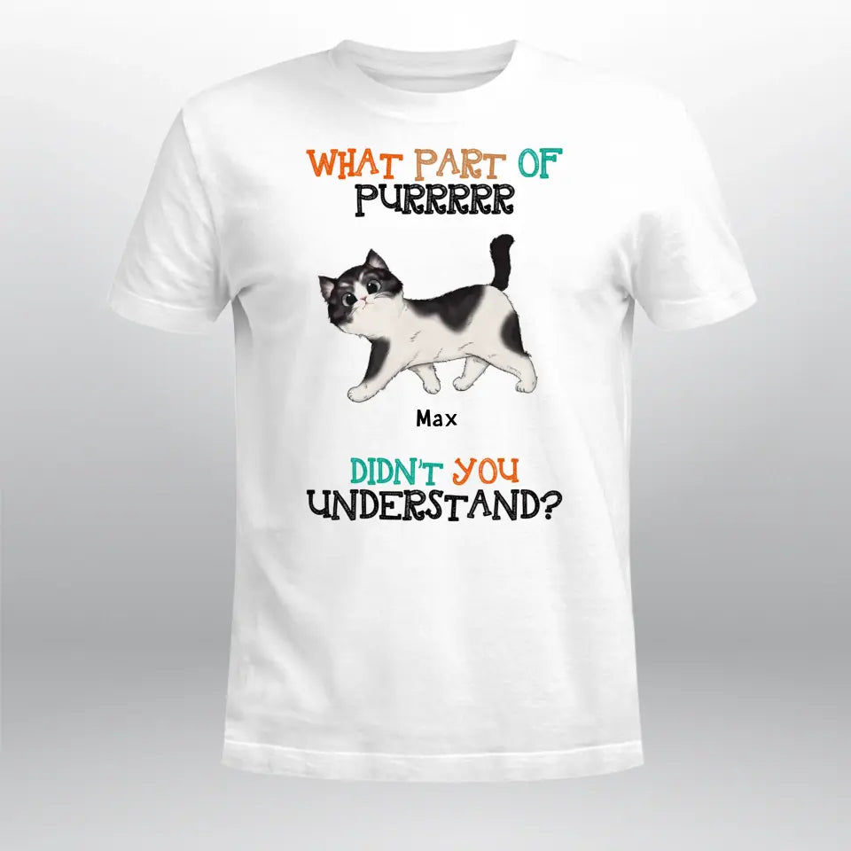 Personalized What Part of Purrr Didn't You Understand Walking Cat NI2004006YR T-Shirt