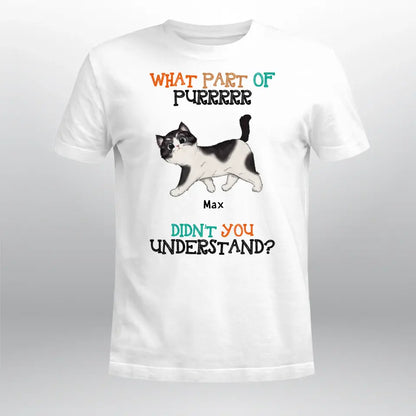 Personalized What Part of Purrr Didn't You Understand Walking Cat NI2004006YR T-Shirt