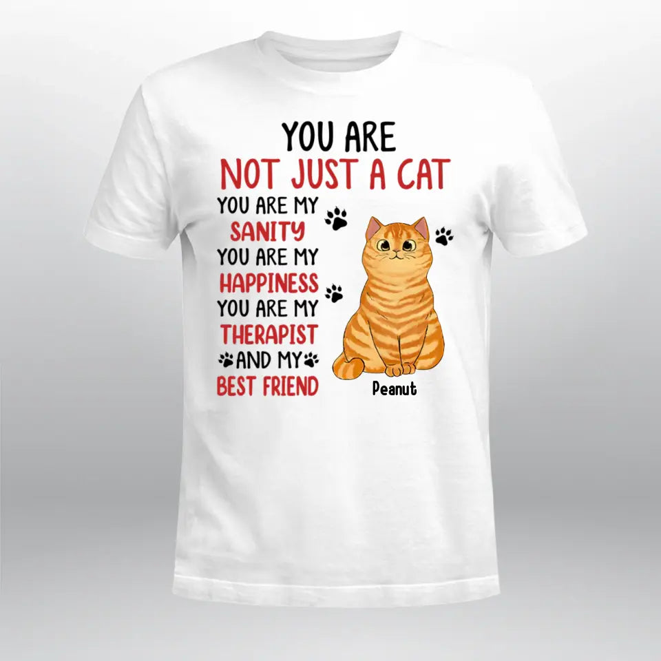 Personalized You Are Not Just Cat You Are My Sanity NI2104003XR T-Shirt