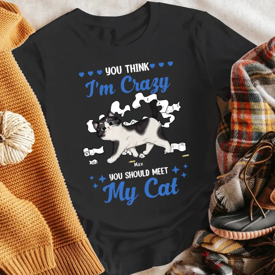 Personalized I'm Crazy You Should Meet My Cat NI2704006YR T-Shirt