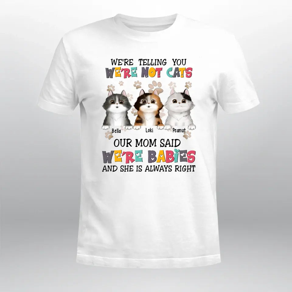 Personalized Cats Are Furry Babies YR2903005XC T-Shirt