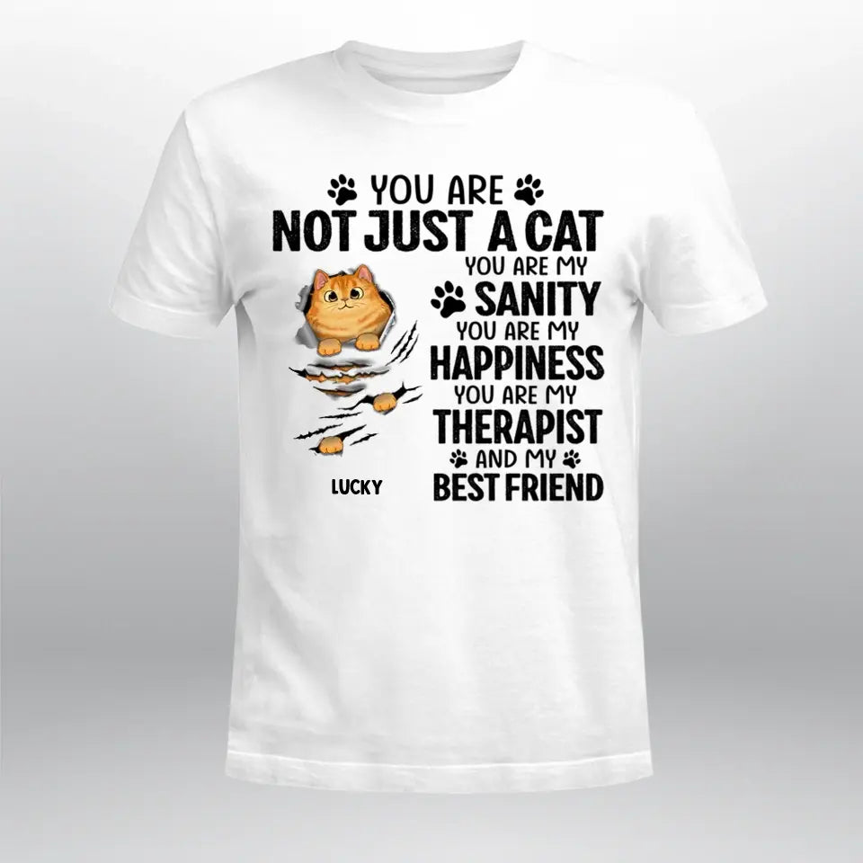 Personalized Scratching Fluffy Cats My Sanity NI0905002YR T-Shirt