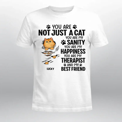 Personalized Scratching Fluffy Cats My Sanity NI0905002YR T-Shirt