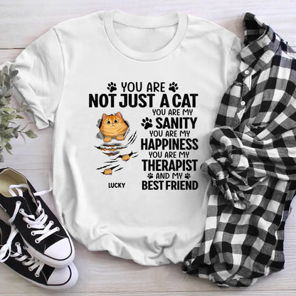 Personalized Scratching Fluffy Cats My Sanity NI0905002YR T-Shirt