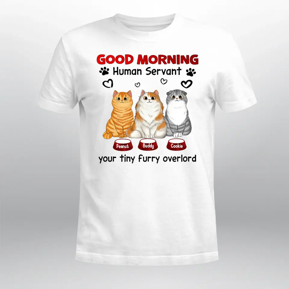 Personalized Good Morning Human Servant NI1605005YR T-Shirt