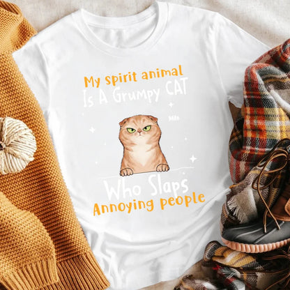 Personalized My Spirit Animal Is A Grumpy Cat T-Shirt