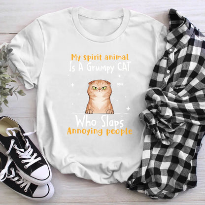 Personalized My Spirit Animal Is A Grumpy Cat T-Shirt