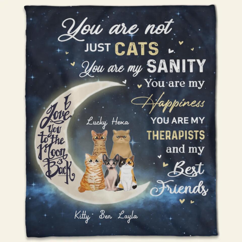 Personalized You Are Not Just Cats NI1703001YR Fleece Blanket