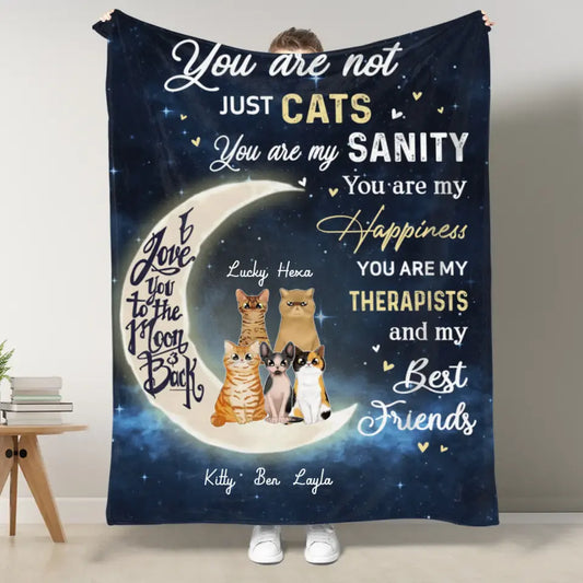 Personalized You Are Not Just Cats NI1703001YR Fleece Blanket