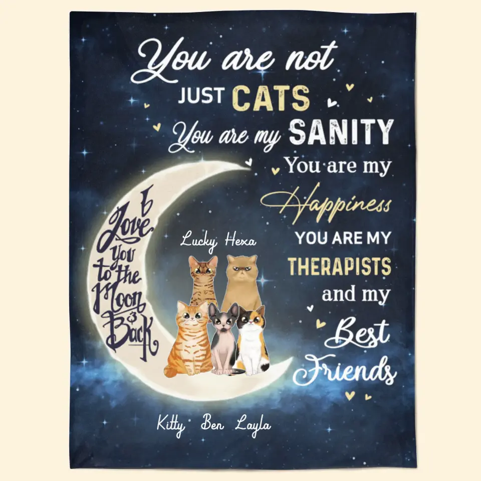 Personalized You Are Not Just Cats NI1703001YR Fleece Blanket